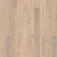 Дуб Скандинавский