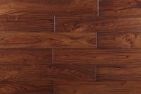 Ильм Дракон