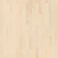 Ясень Арктик