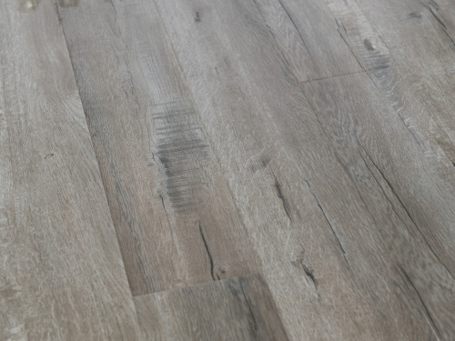 2361_305-dub-zhakkard