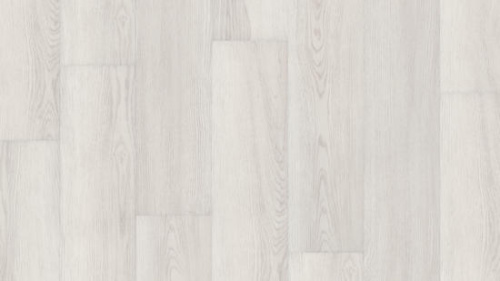 THH_Rockstars_Freddie