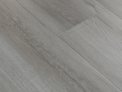 2392_2416-dub-dymchatyy