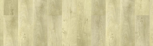 FIESTA - Дуб Осорно