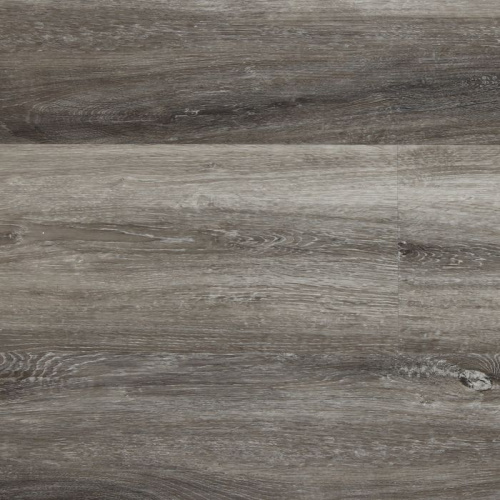 «SPC Рейнель»