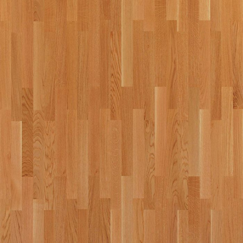 ДУБ КЛАССИЧЕСКИЙ