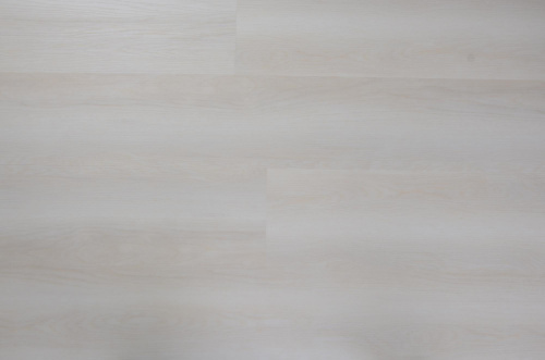 Oak Seashell Optima Click