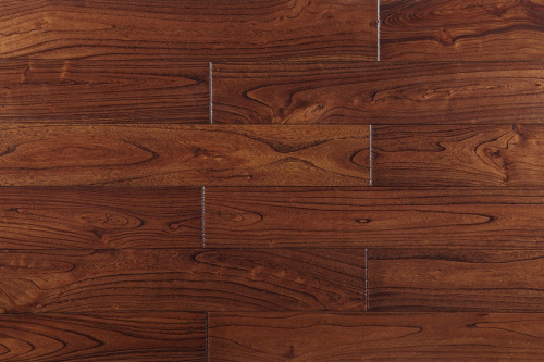 Ильм Дракон