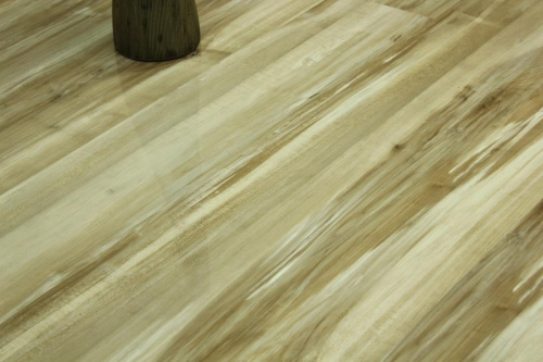 praktik-75186-klen-kanadskij