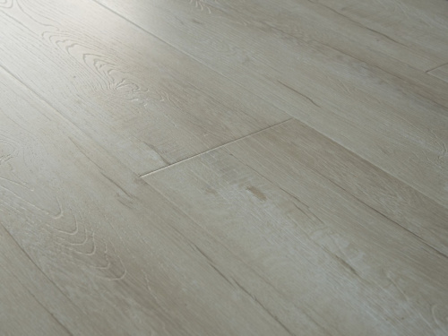 2128_2412-dub-belenyy