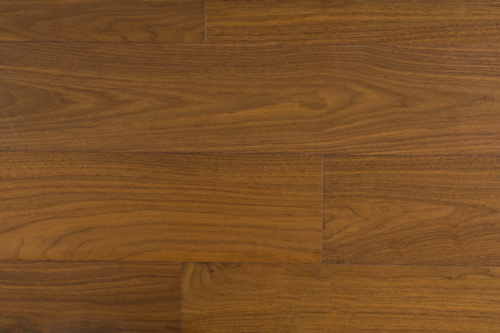 дуб антарес