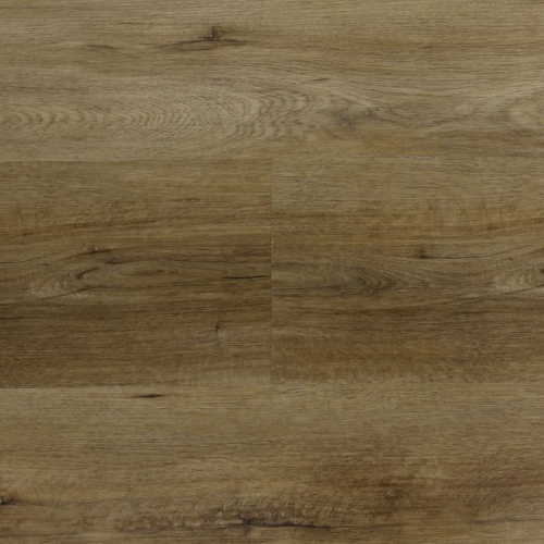 «SPC Шеверни»