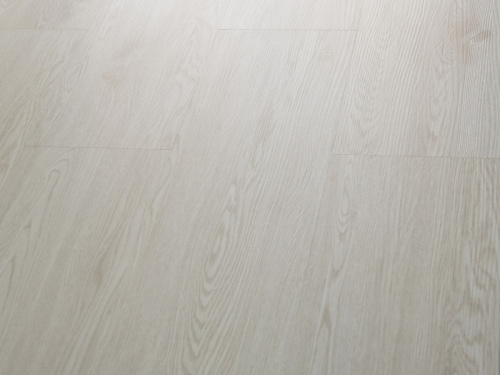 2697_q-12-dub-bruklin